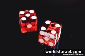 AG真人 worldstaraei
